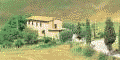 Hotels, alberghi, agenzie vacanze, posizionamento.